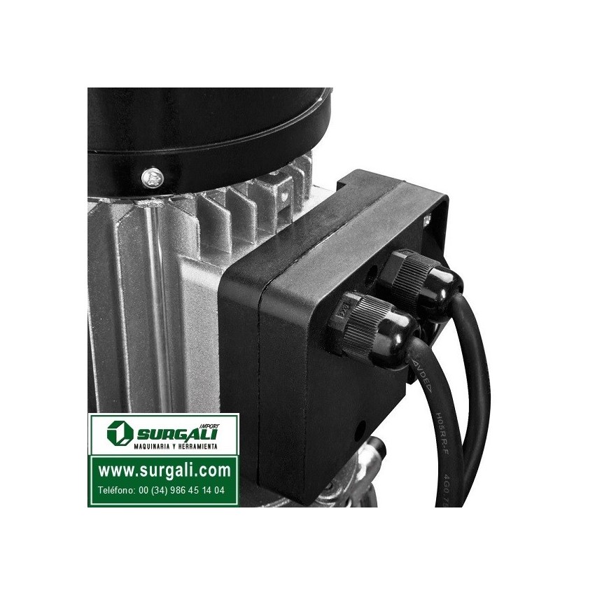 Ribitech PE125/250C Banco Eléctrico 540W – Polipasto 125kg/250kg Con Cable 18m, Monofásico 230V